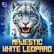 Majestic White Leopard